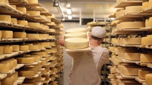(отменяем импортозамещение?) Всемирный банк дал России рекомендации по ускорению экономического роста