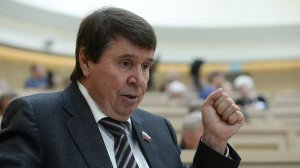В Совфеде заявили, что Украину давно захватили американцы