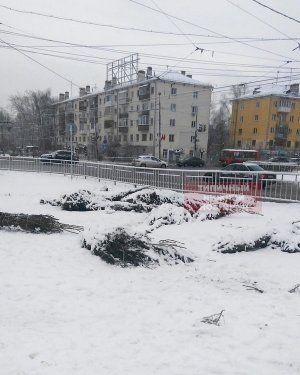 «Кладбище ёлок» появилось на улицах Нижнего Новгорода