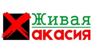 В Хакасии экоактивистку заподозрили в антисемитизме и экстремизме