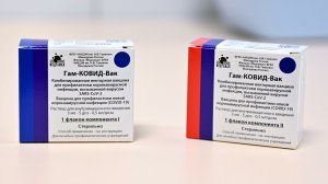 РФПИ ответил на сообщения об отказе в регистрации "Спутника V" в Бразилии