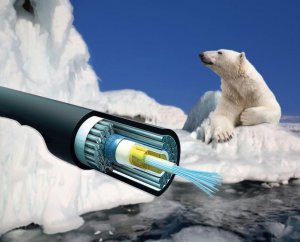 Ставить интересы бизнеса выше государственных - недопустимо