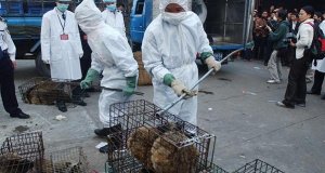 В ВОЗ заявили о найденных в Ухане «важных уликах» в расследовании пандемии