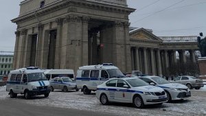 Скопление полиции в центре Петербурга объяснили ростом случаев хулиганства