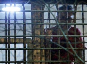 Срок Навального – железная закономерность