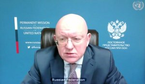 Вы, господа, скорее соучастники творимых Киевом преступлений против населения Донбасса - В.А.Небензя