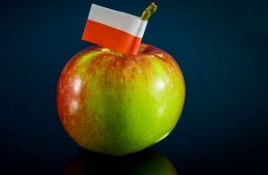 В Латвии взбунтовались против польских яблок