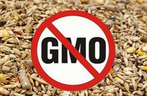 Россельхознадзор со 2 марта ограничивает ввоз кормов и кормовых добавок из США