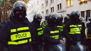 МВД Грузии прокомментировало применение газа при задержании Мелии