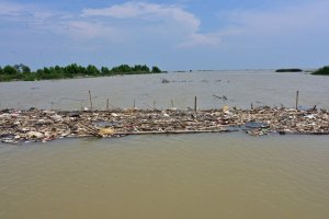 Российский моряк выжил проплавав 14 часов в Тихом океане, уцепившись за старый рыбацкий буй