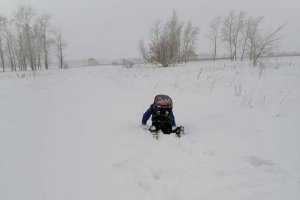 Омский первоклассник ползет по сугробам в школу: СК проверяет резонансные фото