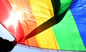 The Washington Post (США): в российском лесу появилось убежище для феминисток, где они могут спрятаться от давления Путина