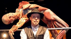 Анатомическая выставка Гюнтера фон Хагенса Body Worlds на ВДНХ