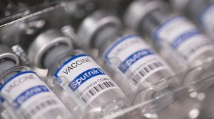 В ГД назвали ожидаемой информацию о кампании против «Спутника V»