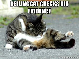 Сокрытие фактов и манипуляции: о Bellingcat