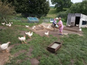 В Белгородской области в доходы малоимущих учтут средства от подсобных хозяйств