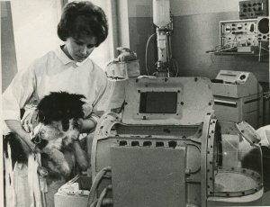 Рассекречены документы о полете собак в радиационный пояс Земли