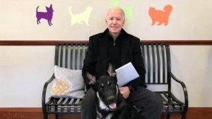 Американский истеблишмент хамит потому, что это бесплатно Нам нужен живой и здоровый Байден, чтобы платить и каяться, платить и каяться