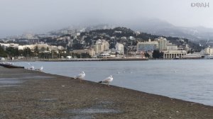 Осталась одна неделя: у украинцев уже скоро начнут изымать земли в Крыму