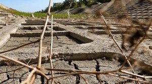 Мы будем арестовывать все (украинское), что будет проходить, пролетать, проезжать мимо Крыма, мимо Российской Федерации - спикер Госсовета Крыма