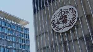 США и еще 13 стран выразили обеспокоенность докладом ВОЗ о происхождении коронавируса