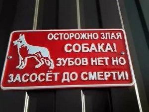 Собака Байдена снова укусила человека