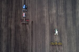 Минсельхоз планирует к 2025 году застраховать 30% посевных площадей