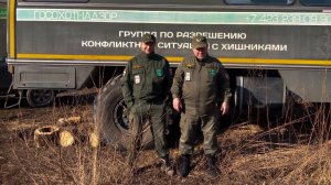 Специалисты не могут поймать амурского тигра, который с января нападает на собак в нескольких селах Хасанского района в Приморье