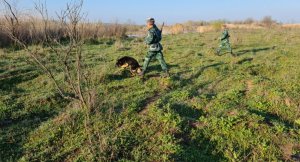 Перестрелка у границы с Ираном: ранен контрабандист