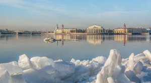 Почему в Невском районе ухудшается здоровье у местных жителей