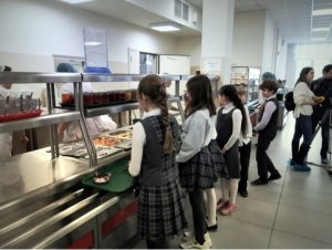 Демпинг уйдет в прошлое: поставщики питания в СПб скоро лишатся возможности давить ценой на тендерах