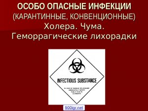 В России создали первую в мире субъединичную вакцину против чумы