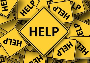 Роспотребнадзор Петербурга продолжает беспределить: «КСП Красносельский» просит о помощи