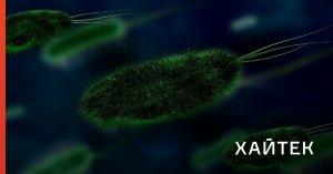 Новый антибиотик обманывает устойчивые к лекарствам бактерии с помощью мимикрии