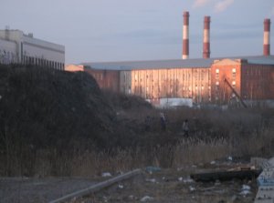 Невский район СПб на первом месте по легочным заболеваниям – причиной назван золоотвал