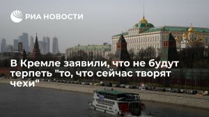 В Кремле заявили, что не будут терпеть поведение Чехии
