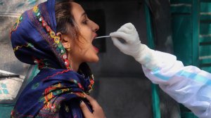 Россия запросила образец индийского штамма COVID-19