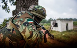 «Была союзником Гитлера»: Пушков ответил болгарам, спрогнозировавшим России поражение от НАТО