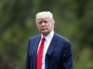 Над странным сайтом Дональда Трампа посмеялись в Сети