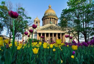 В Германии Петербург назвали одним из самых красивых городов Балтики