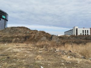 Заявление на расчистку золоотвала подано на стол Беглова