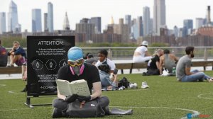 В каких странах популярны печатные книги и где американцы ищут новую музыку