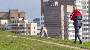 Путин поручил подготовить законопроект о ведении учета домашних животных