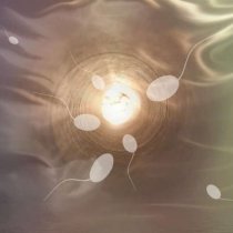 Сперма убеждает женщину стать матерью детей конкретного мужчины