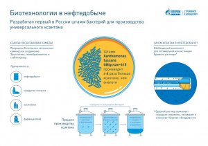 «Газпром нефть» внедряет собственные биотехнологии для нефтедобычи