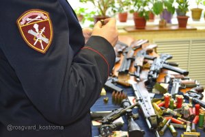 Госдума поддержала законопроект об усилении госконтроля за оборотом оружия