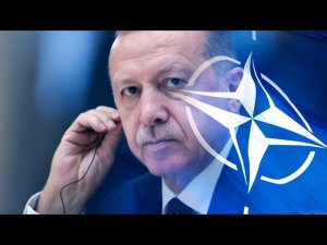 Турция заблокировала заявления НАТО о действиях против Белоруссии