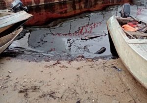 ОНФ: Росприроднадзор по факту нефтеразлива и загрязнения реки Колвы возбудил дела против ООО «ЛУКОЙЛ-Коми»