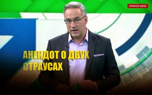 «Существует два вида страусов»: Норкин развеселил студию анекдотом на «радужную» тему
