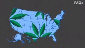 В американском штате решили давать марихуану за прививку от коронавируса  (Доставка марихуаны в Калифорнии ищет оплачиваемого стажера для тестирования продукта)